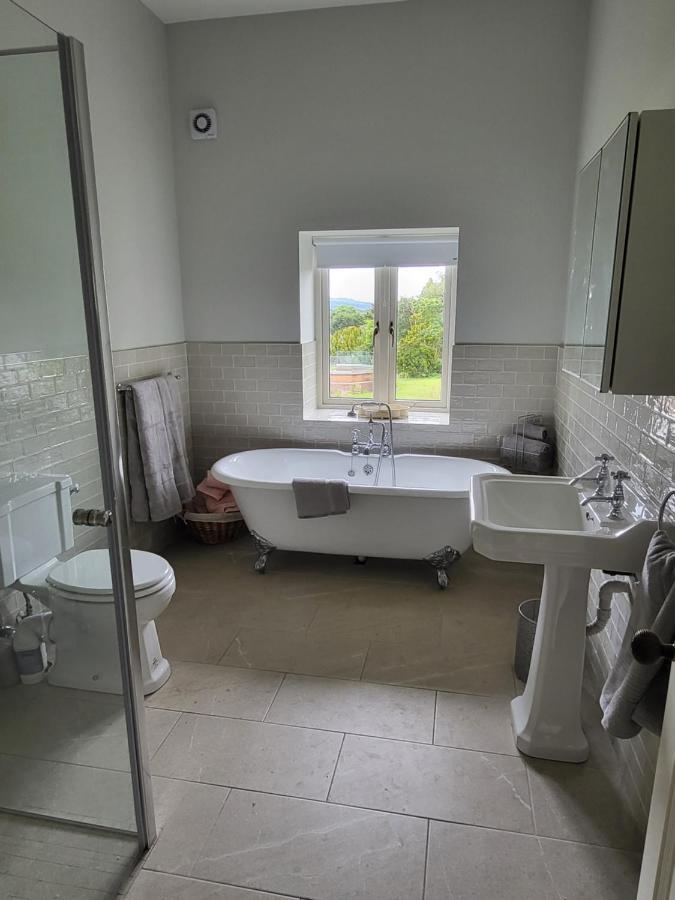 Villa The Coach House Dublino Esterno foto